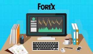 Forex Investment