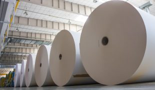 Is Asia Pulp And Paper A Sustainable Company?